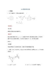 初中数学北师大版九年级上册8 图形的位似课时训练