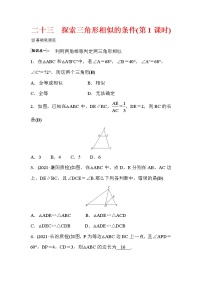 初中数学北师大版九年级上册4 探索三角形相似的条件第1课时习题