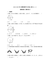 初中数学24.1.4 圆周角优秀课时训练