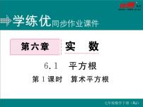 人教版七年级下册6.1 平方根评课课件ppt