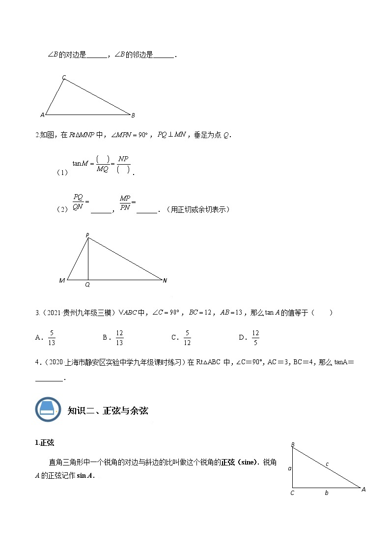 第08讲 锐角的三角比的意义- 2022-2023学年九年级数学上册 精讲精练（沪教版）03