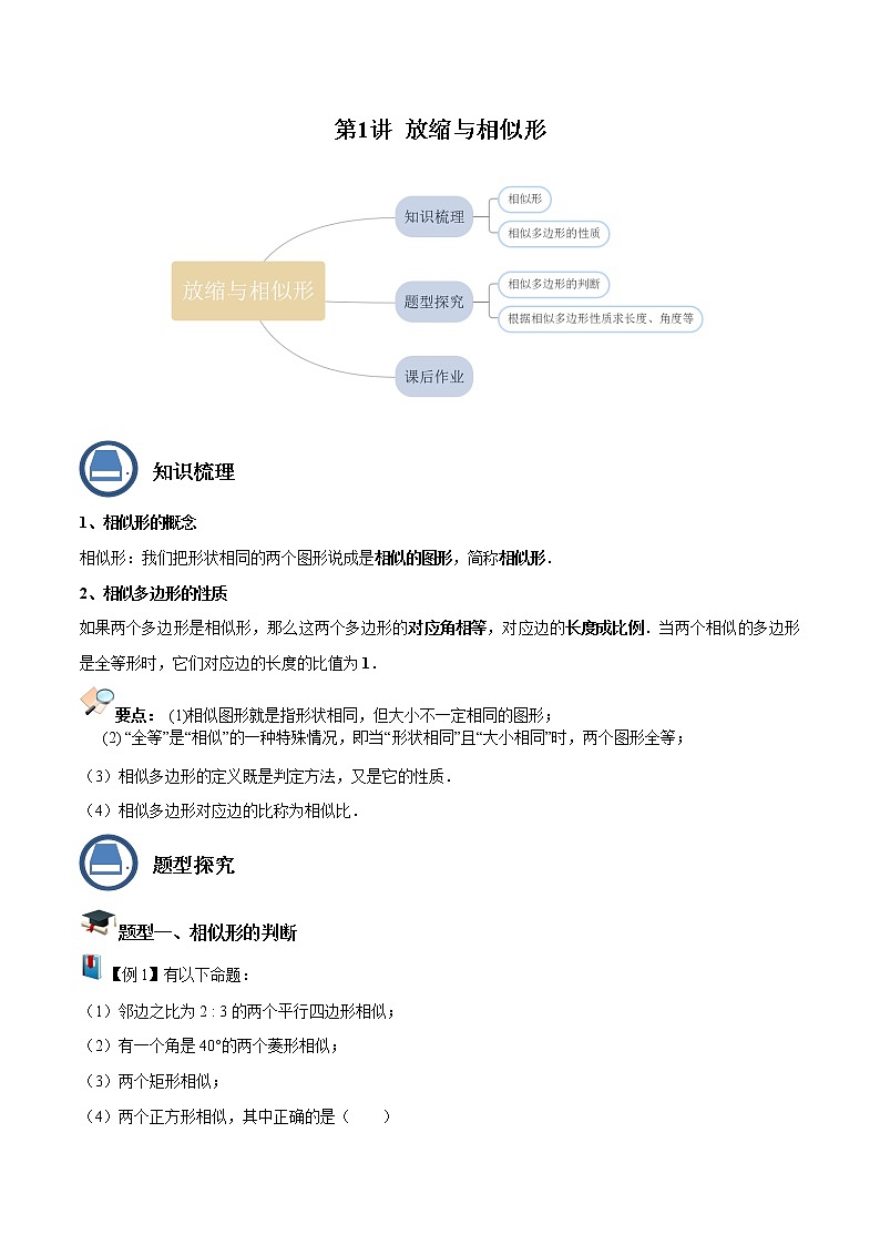 第1讲 相似形与比例线段（原卷版）- 2022-2023学年九年级数学上册 精讲精练（沪教版）第1页