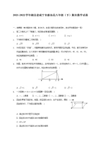 2021-2022学年湖北省咸宁市嘉鱼县八年级（下）期末数学试卷(解析版)