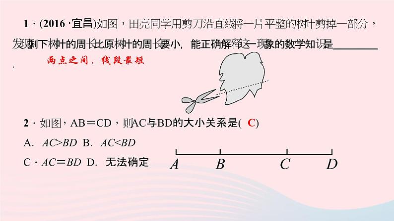 数学北师大版七年级上册同步教学课件第4章基本平面图形4.2比较线段的长短作业07