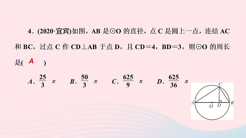 数学华东师大版九年级下册同步教学课件第27章圆阶段自测3作业04