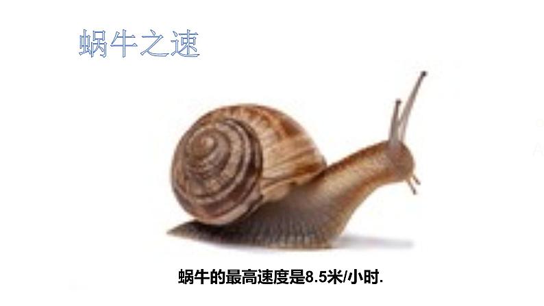 华东师大版七上数学 1.3数学伴我们成长 课件05