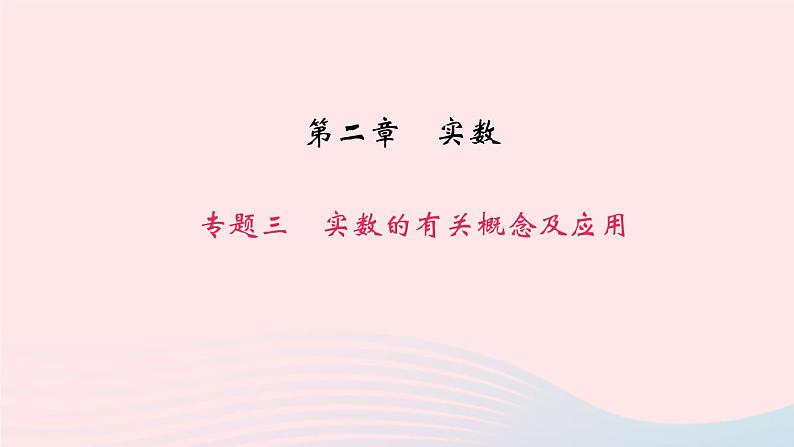 数学北师大版八年级上册同步教学课件专题复习3实数的有关概念及应用作业01