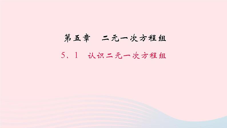 数学北师大版八年级上册同步教学课件第5章二元一次方程组1认识二元一次方程组作业01