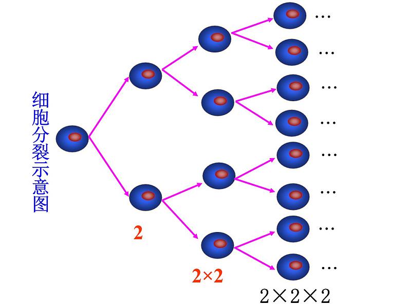 人教版数学七上1.5有理数的乘方课件08