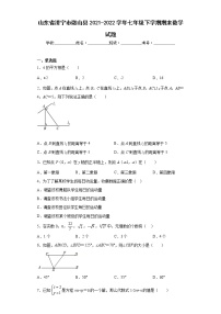 山东省济宁市微山县2021-2022学年七年级下学期期末数学试题(含答案)