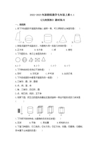 浙教版七年级上册6.1 几何图形优秀综合训练题