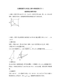 人教版数学九年级上册专项培优练习十二《旋转综合题专练》（含答案）