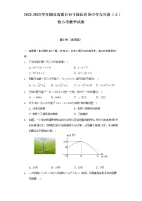 2022-2023学年湖北省黄石市下陆区有色中学九年级（上）收心考数学试卷（含解析）