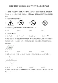 安徽省芜湖市弋江区2021-2022学年八年级上期末数学试题(含答案)