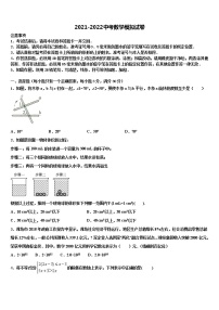 广东省东莞市名校2022年中考数学模拟试题含解析