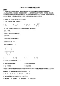 广东省广州市越秀区育才实验校2022年毕业升学考试模拟卷数学卷含解析