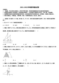 甘肃省张掖市高台县2021-2022学年中考冲刺卷数学试题含解析