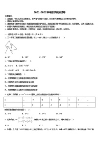 广东省深圳市龙岗区石芽岭校2021-2022学年中考数学考试模拟冲刺卷含解析