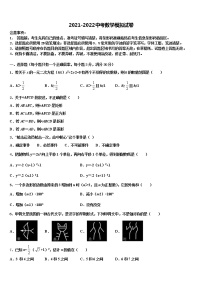 广东省深圳市外国语校2021-2022学年中考适应性考试数学试题含解析