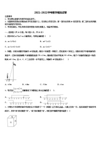 广东省深圳市福田区红岭中学2021-2022学年中考数学模拟预测试卷含解析