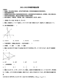 广东省深圳市大鹏新区2022年中考数学模试卷含解析