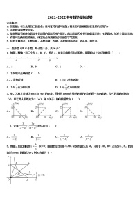 广东省汕头市潮阳区铜盂镇2022年中考数学全真模拟试卷含解析