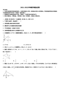 广东省深圳市福田区侨香外国语校2022年中考数学仿真试卷含解析