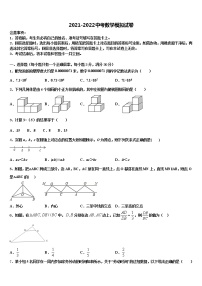 甘肃省金昌市2021-2022学年中考数学最后一模试卷含解析