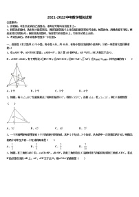 福建省泉州市洛江区2021-2022学年中考数学全真模拟试题含解析