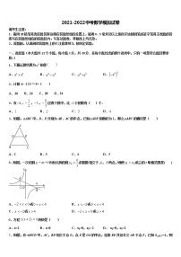 福建省厦门市思明区逸夫中学2022年中考三模数学试题含解析