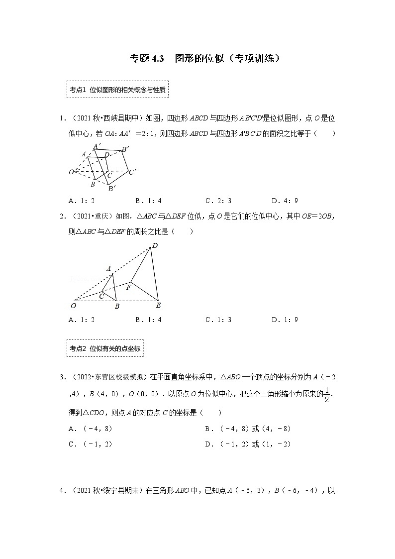 专题4.3 图形的位似（专项训练）-2022-2023学年九年级数学上册《 考点解读•专题训练》（北师大版）第1页