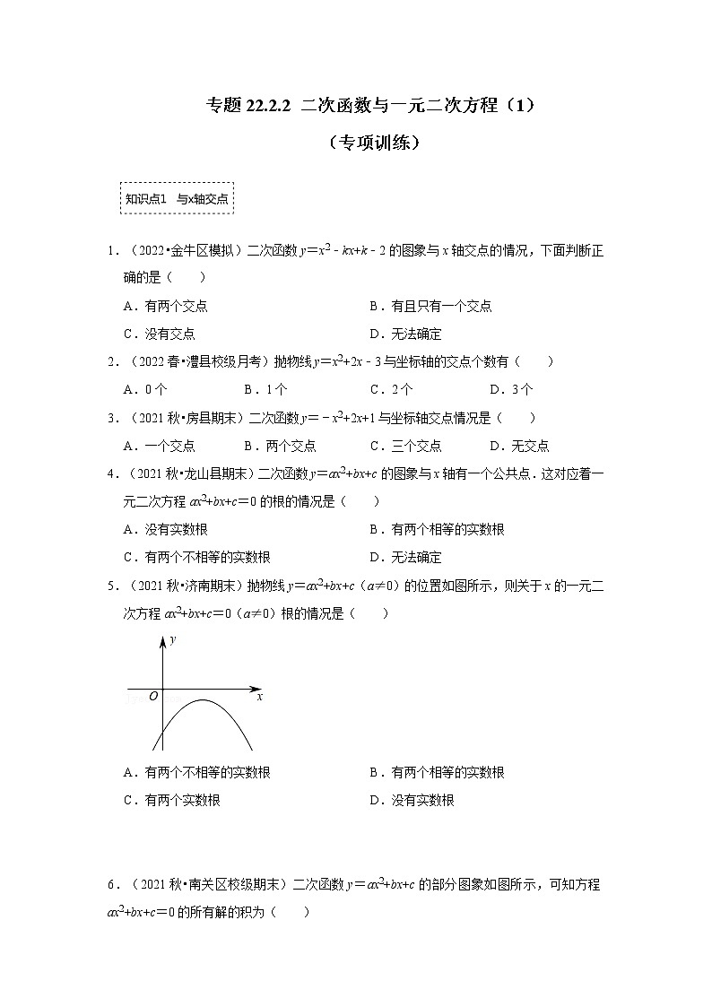 专题22.2.1 二次函数与一元二次方程（1）（专题训练）-2022-2023学年九年级数学上册《 考点解读•专题训练》（人教版）01