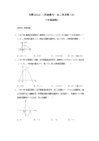 专题22.2.2 二次函数与一元二次方程（2）（专题训练）-2022-2023学年九年级数学上册《 考点解读•专题训练》（人教版）