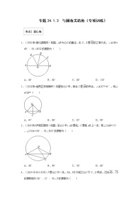 专题24.1.3 与圆有关的角（专项训练）-2022-2023学年九年级数学上册《 考点解读•专题训练》（人教版）