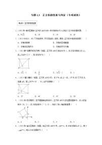 专题1.3 正方形的性质与判定（专项训练）-2022-2023学年九年级数学上册《 考点解读•专题训练》（北师大版）