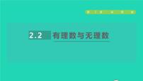 苏科版第2章 有理数2.2 有理数与无理数授课课件ppt