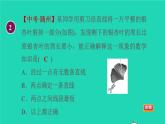 數(shù)學(xué)蘇科版七年級上冊同步教學(xué)課件第6章平面圖形的認(rèn)識一6.1線段射線直線1線段射線直線授課