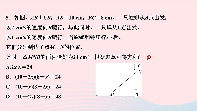 数学北师大版九年级上册同步教学课件第2章一元二次方程6应用一元二次方程第1课时利用一元二次方程解决几何问题作业07