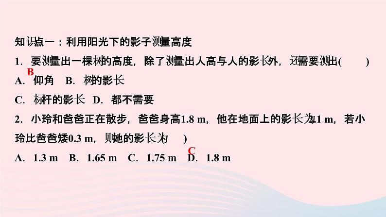 数学北师大版九年级上册同步教学课件第4章图形的相似6利用相似三角形测高作第3页