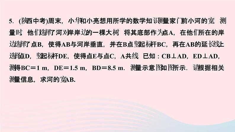 数学北师大版九年级上册同步教学课件第4章图形的相似6利用相似三角形测高作第6页