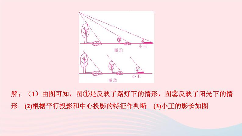 数学北师大版九年级上册同步教学课件第5章投影与视图易错课堂504