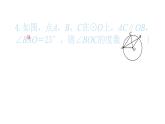 2022九年級數(shù)學(xué)下冊專項復(fù)習(xí)4圓習(xí)題課件新版新人教版