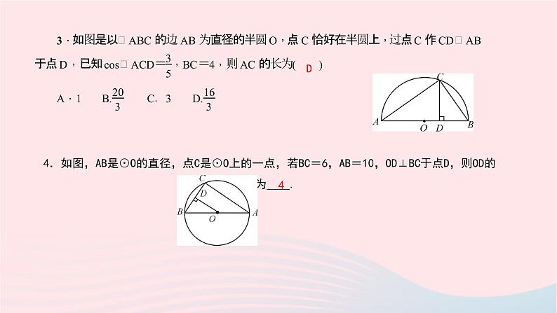 数学北师大版九年级下册 同步教学课件第3章圆4圆周角和圆心角的关系第2课时圆周角定理的推论作业06