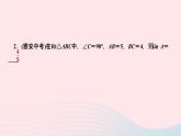 数学人教版九年级下册同步教学课件第28章锐角三角函数专题训练(10)求锐角三角函数值的常用方法作业