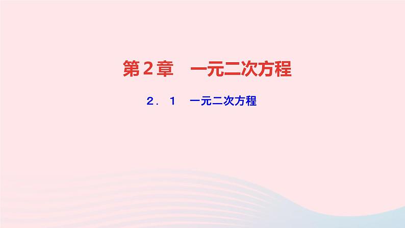 数学湘教版九年级上册同步教学课件第2章一元二次方程2.1一元二次方程作业01