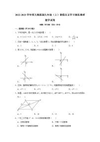 2022-2023学年师大梅溪湖九年级（上）暑假自主学习情况调研数学试卷