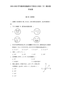 2021-2022学年陕西省榆林市子洲县七年级（下）期末数学试卷（含解析）