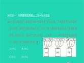 2022七年级数学下册第八章二元一次方程组8.3实际问题与二元一次方程组第2课时利用二元一次方程组解决较复杂的实际问题课件新版新人教版