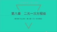 人教版七年级下册8.1 二元一次方程组复习课件ppt