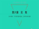 2022七年级数学下册第六章实数方法专题3平方根与面积问题立方根与体积问题课件新版新人教版
